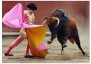 10 bull fights