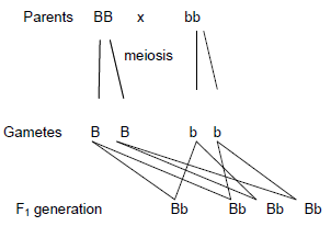 basic agricultural genetics