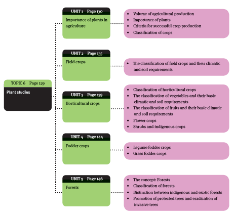 plant studies overview