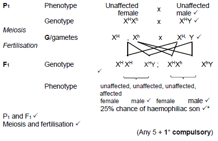 2.3.4 UYGDYAGDA