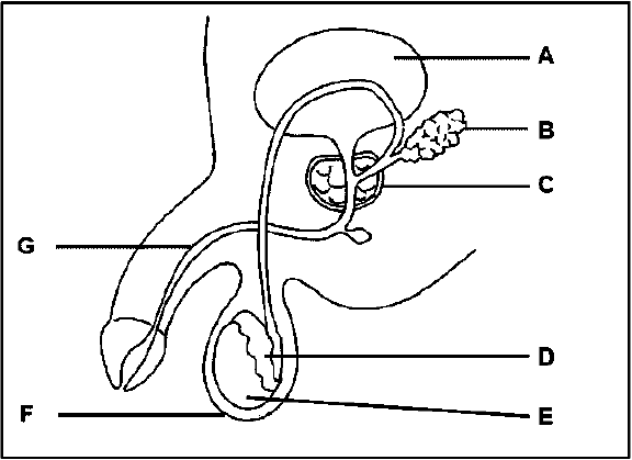 1.6 ugauyghuydaghd