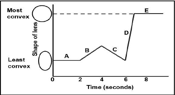 2.4 auyghduyahda