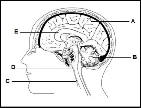 3.3 auiygduyahd