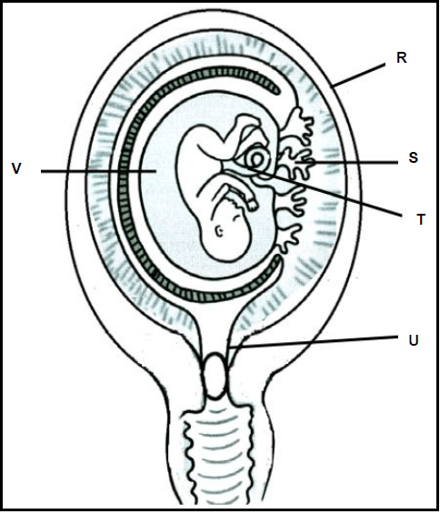 3.4 aiiyhdauyhda