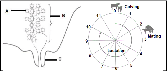 4.4 aujhgduya