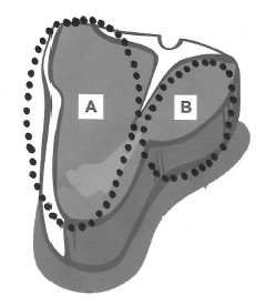 4.5 sagyduyad