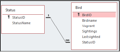 bird 2 auhgdyuad