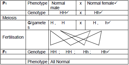 2.3.4 AJHUGBDUYA