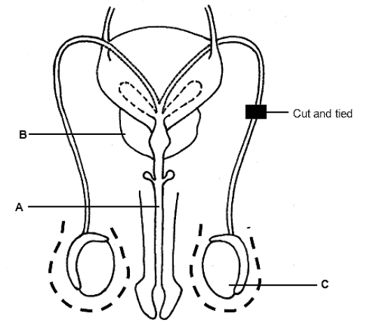 2.5 aihuydhad