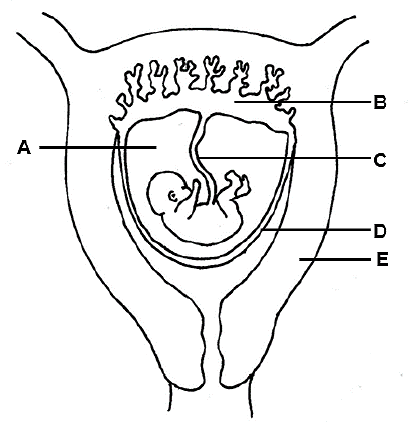 3.4 aiugydyua