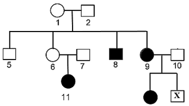 1.1.3 aghudyad