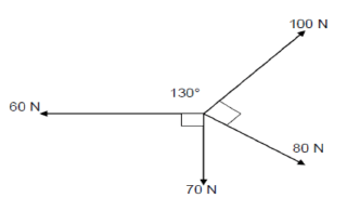 8.1 aihudicad