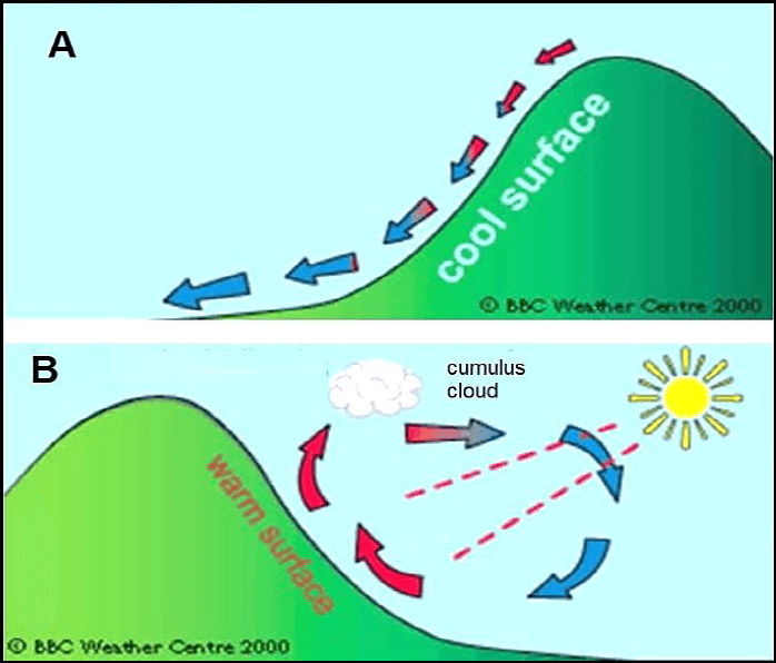 figure 1.1 iughada