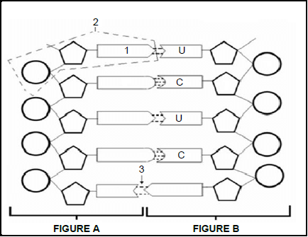 1.1.2 agduyad