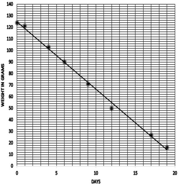 Q1 P2 MATHS