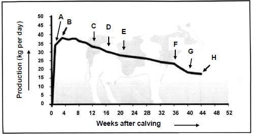 CALVING