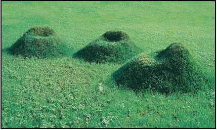 GRASS MOUND