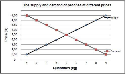 PEACHES GRAPH