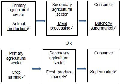 agribusiness chain