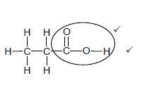 phys 16 kiuhk