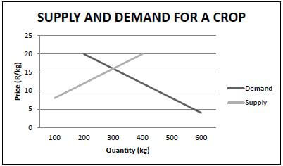 supplydemand