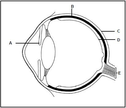 2.4 KJHGAD