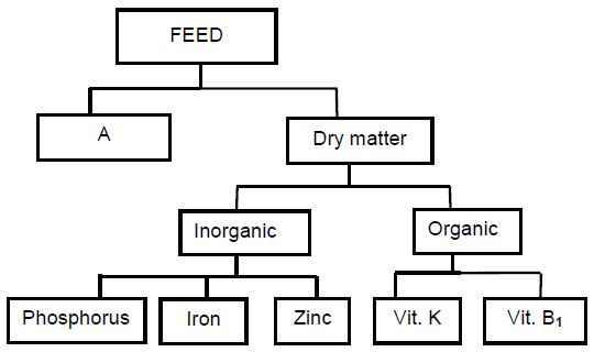 AgriSciQ2.2