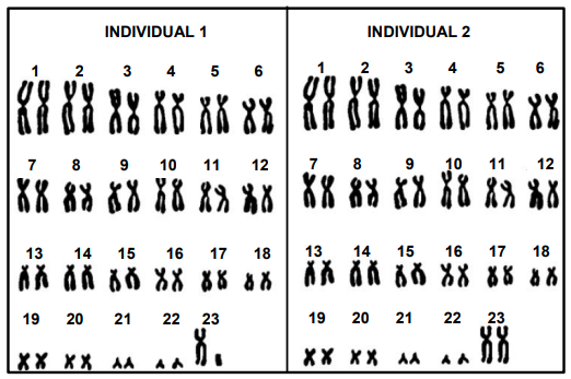 LS Nov 2021 PP2 Grade 12 Q2 3