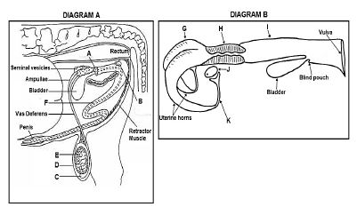 agr sci q4.1.0