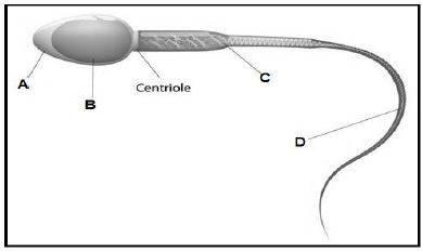 agr sci q4.2.0