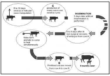 agr sci q4.5.0