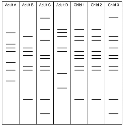 LS June 2022 Grade 12 Q 1 4