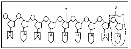 LS June 2022 Grade 12 Q 2 1