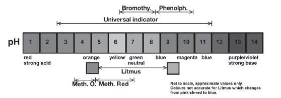 workede example 4 jkyhgjyhguad