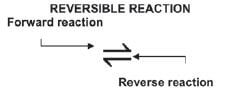 reversible reaction uihgud