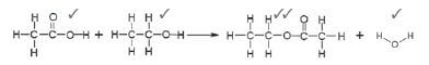 solutions to activity 4 q1