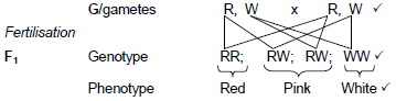 2.61