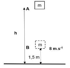 5.3 kghajygudgauydg