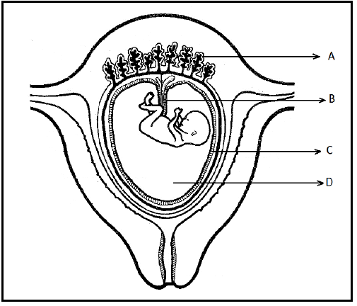 3.2