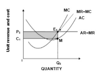 17 economics profite