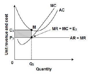 18 economics loss