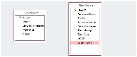 45 t designing the database