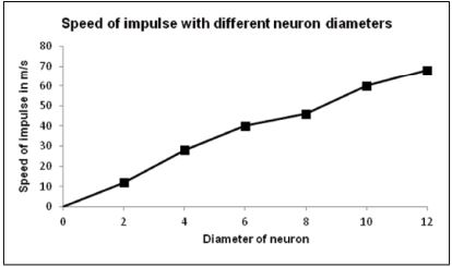 125 neuron diametres
