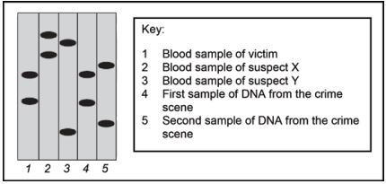 128 dna samples