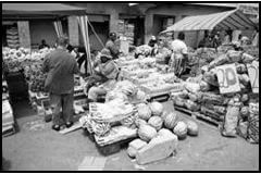 INFORMAL TRADERS IN SA