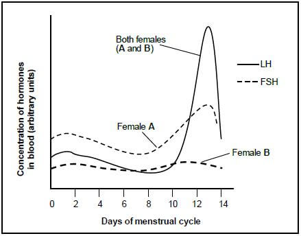 MENSTARL CYCLE