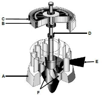 FIGURE 10.1