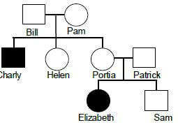 PEDIGREE DIAGRAM