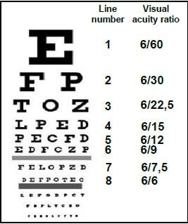 SCALLEN CHART