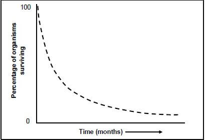 TURTLE EGGS SURVIVAL RATE